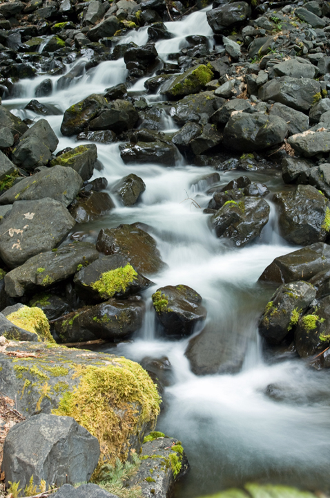 Michael Fuchs 071413 (2)