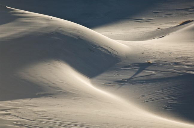 Michael Fuchs 071413 (3)