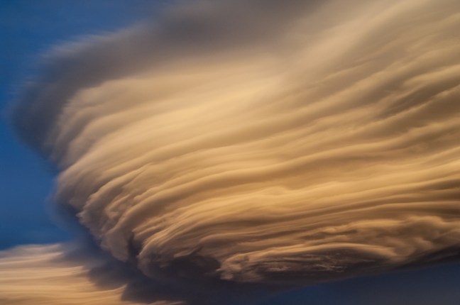 Michael Fuchs 071915 (1)