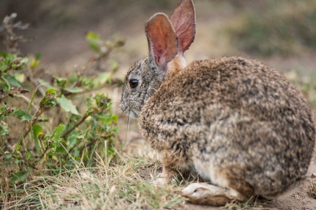 Michael Fuchs 072113 (3)