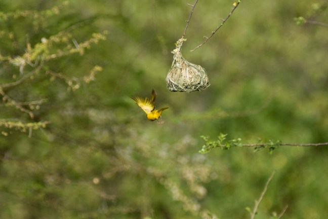 Michael Fuchs 072113 (4)