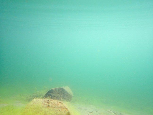 Michael Fuchs 072615 (1)