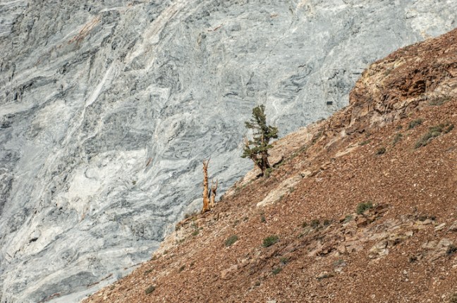 Michael Fuchs 072615 (3)