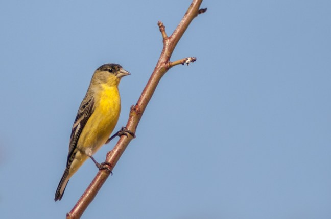 Michael Fuchs 072714 (2)