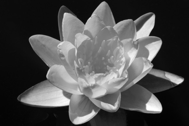 Michael Fuchs 072813 (5)