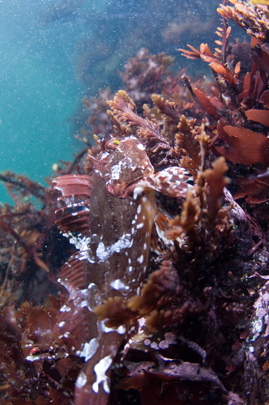 Michael Fuchs 081113