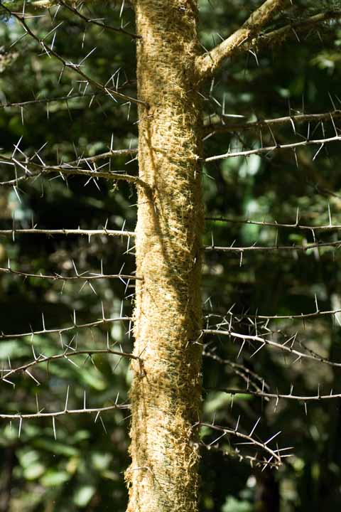 Michael Fuchs 081714 (2)