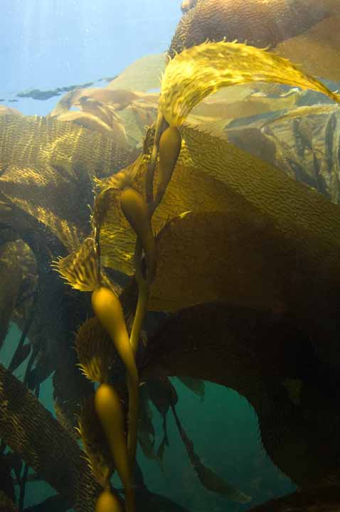 Michael Fuchs 081714 (4)