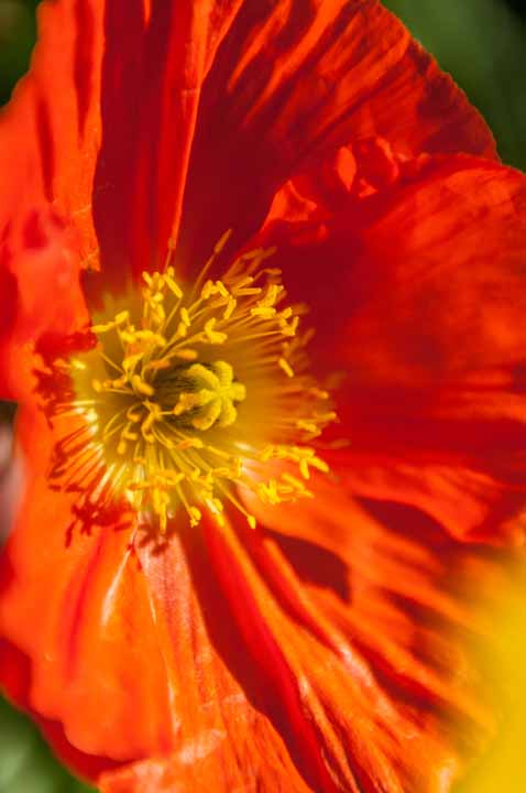 Michael Fuchs 081714 (5)