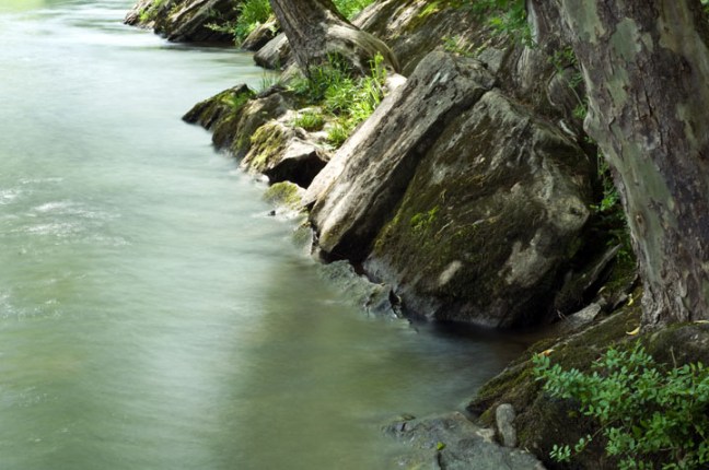 Michael Fuchs 081813 (4)