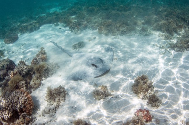 Michael Fuchs 082315 (1)