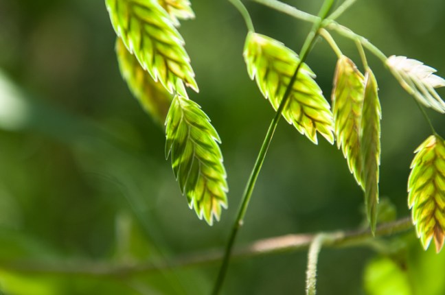 Michael Fuchs 082513 (4)