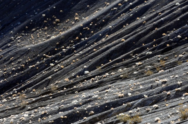 Michael Fuchs 083015 (1)