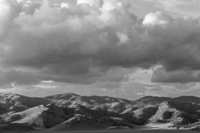 Michael Fuchs 083114 (5)