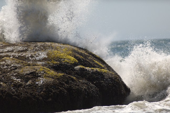 Michael Fuchs 090113 (1)