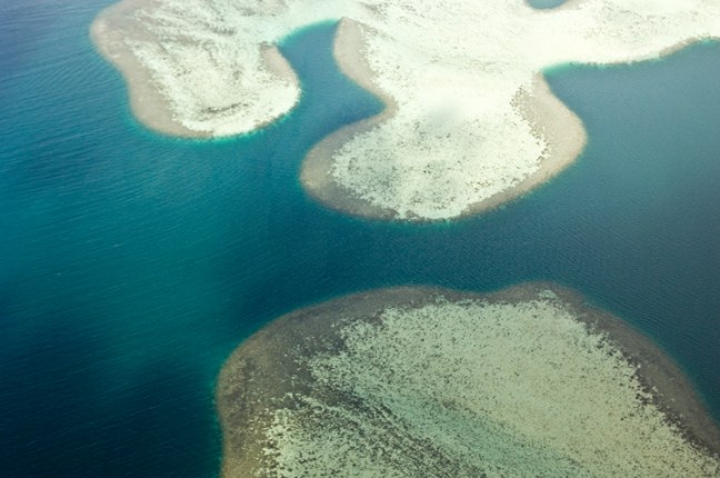 Michael Fuchs 090113 (2)