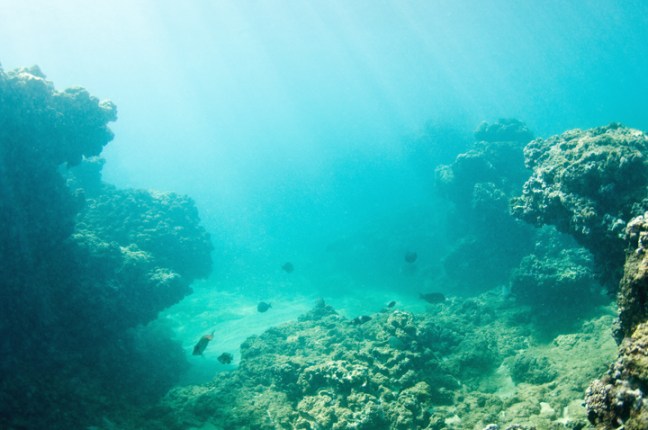 Michael Fuchs 090615 (1)