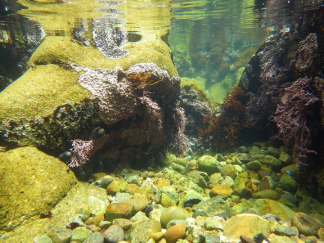 Michael Fuchs 090615 (3)