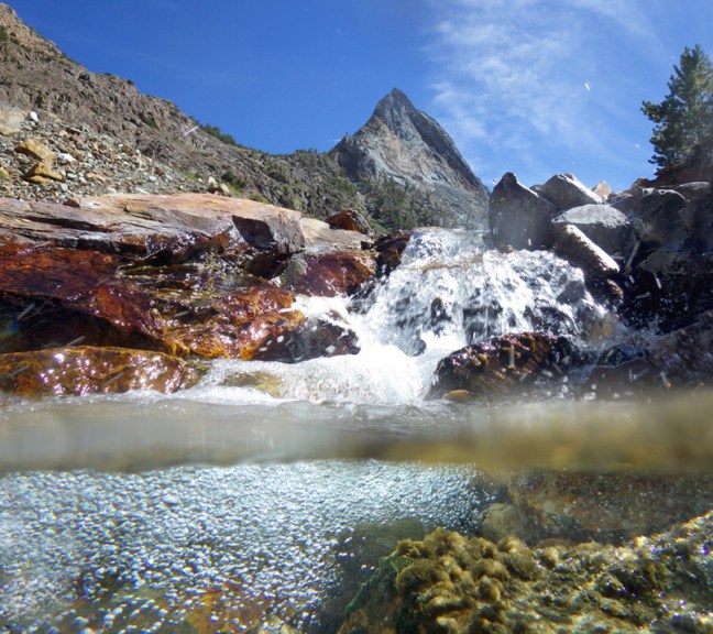 Michael Fuchs 090714