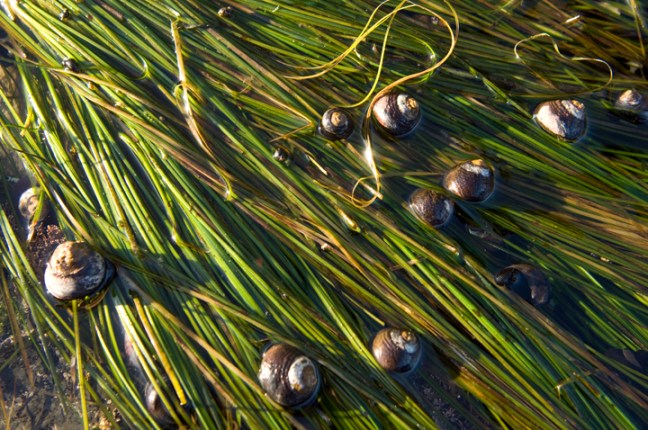 Michael Fuchs 090813 (2)