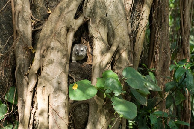 Michael Fuchs 090813 (5)