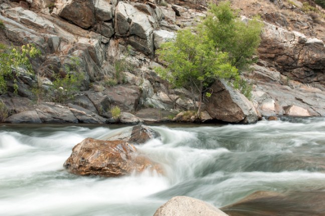 Michael Fuchs 091315 (1)