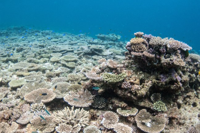 Michael Fuchs 091414 (1)