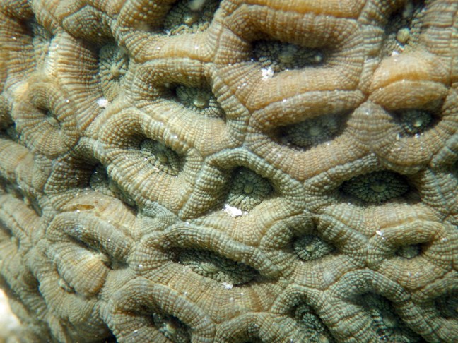 Michael Fuchs 091414 (2)