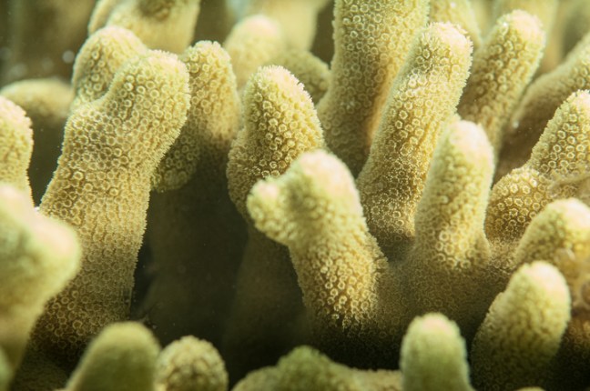 Michael Fuchs 091414 (3)