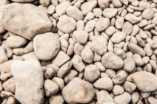 Michael Fuchs 091513 (4)