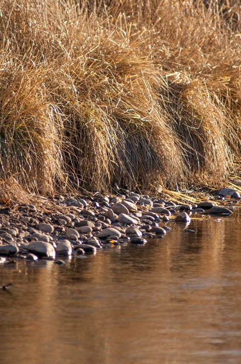 Michael Fuchs 092715 (2)