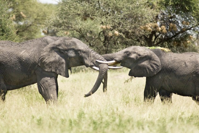 Michael Fuchs 100514 (1)