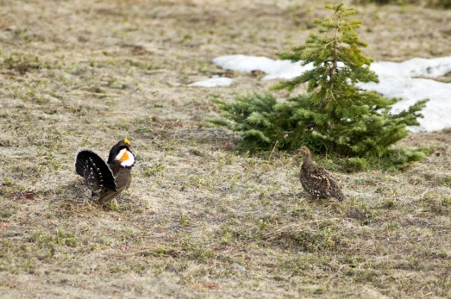 Michael Fuchs 100514 (2)