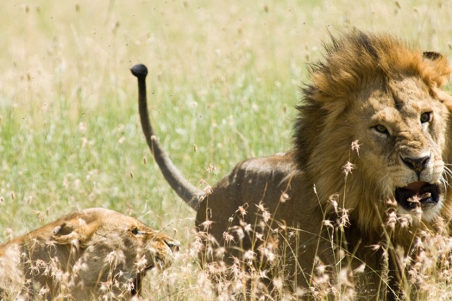 Michael Fuchs 100514 (3)