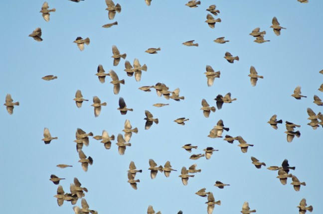 Michael Fuchs 100514 (4)