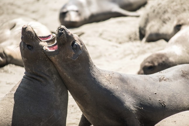 Michael Fuchs 100514 (5)