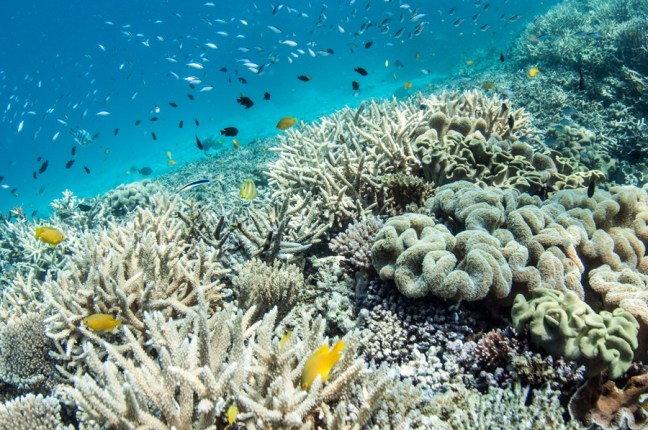 Michael Fuchs 100613