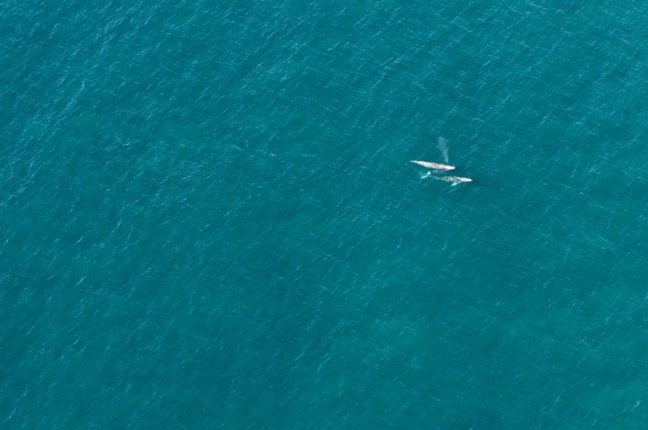 Michael Fuchs 101214