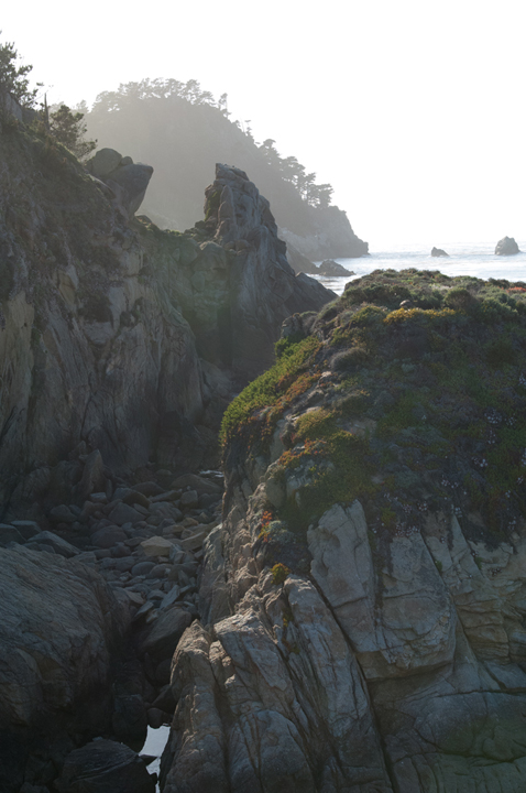 Michael Fuchs 101313 (3)