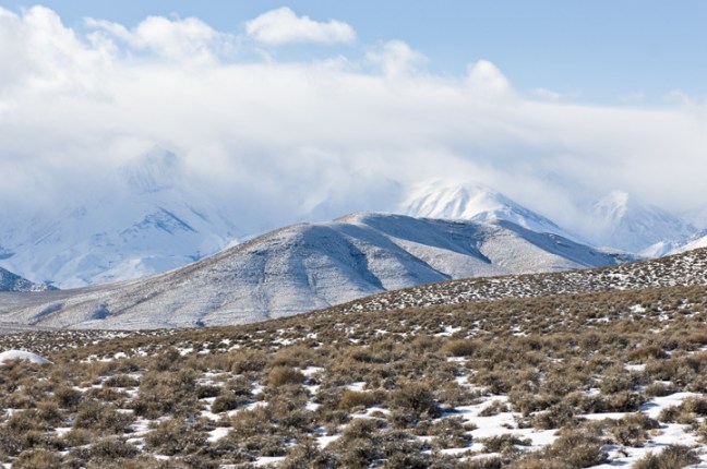 Michael Fuchs 101313 (4)