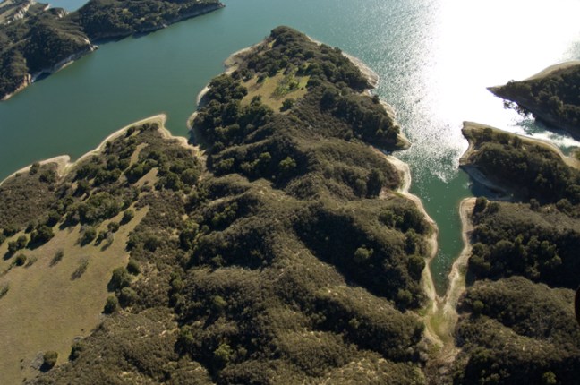 Michael Fuchs 101313 (5)