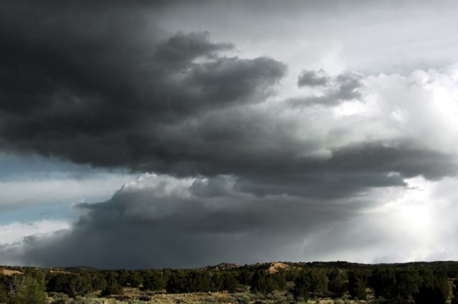 Michael Fuchs 101914 (2)