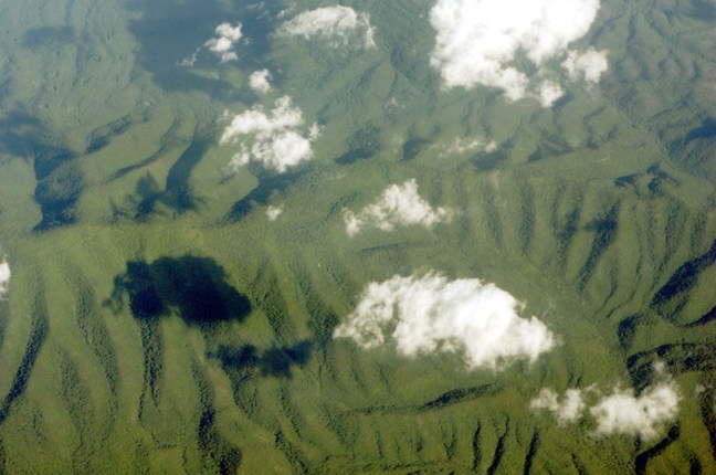 Michael Fuchs 101914 (5)