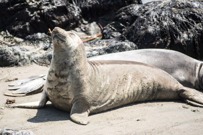 Michael Fuchs 102013 (2)