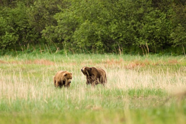 Michael Fuchs 102013 (3)