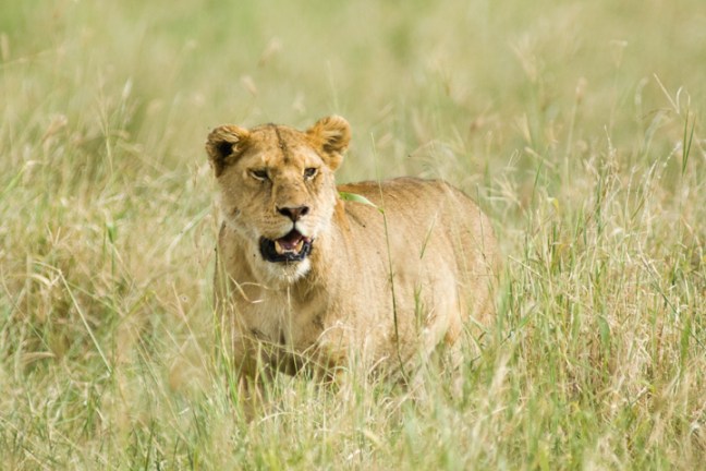 Michael Fuchs 102013 (5)