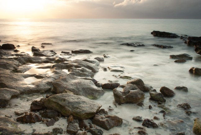 Michael Fuchs 102713 (1)