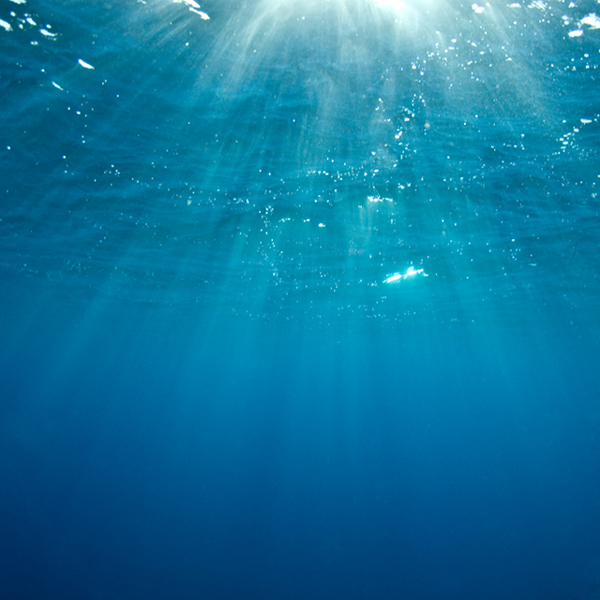 Michael Fuchs 102713 (3)