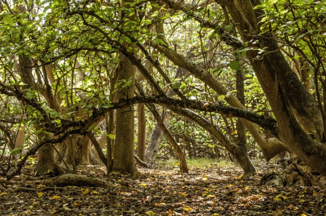 Michael Fuchs 102713 (5)