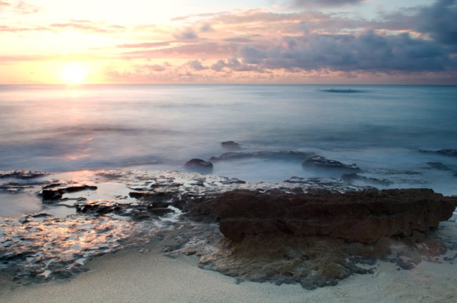 Michael Fuchs 110214